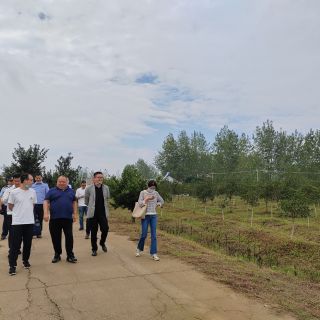 揚州自然資源局和農業(yè)農村局領導參觀檢查